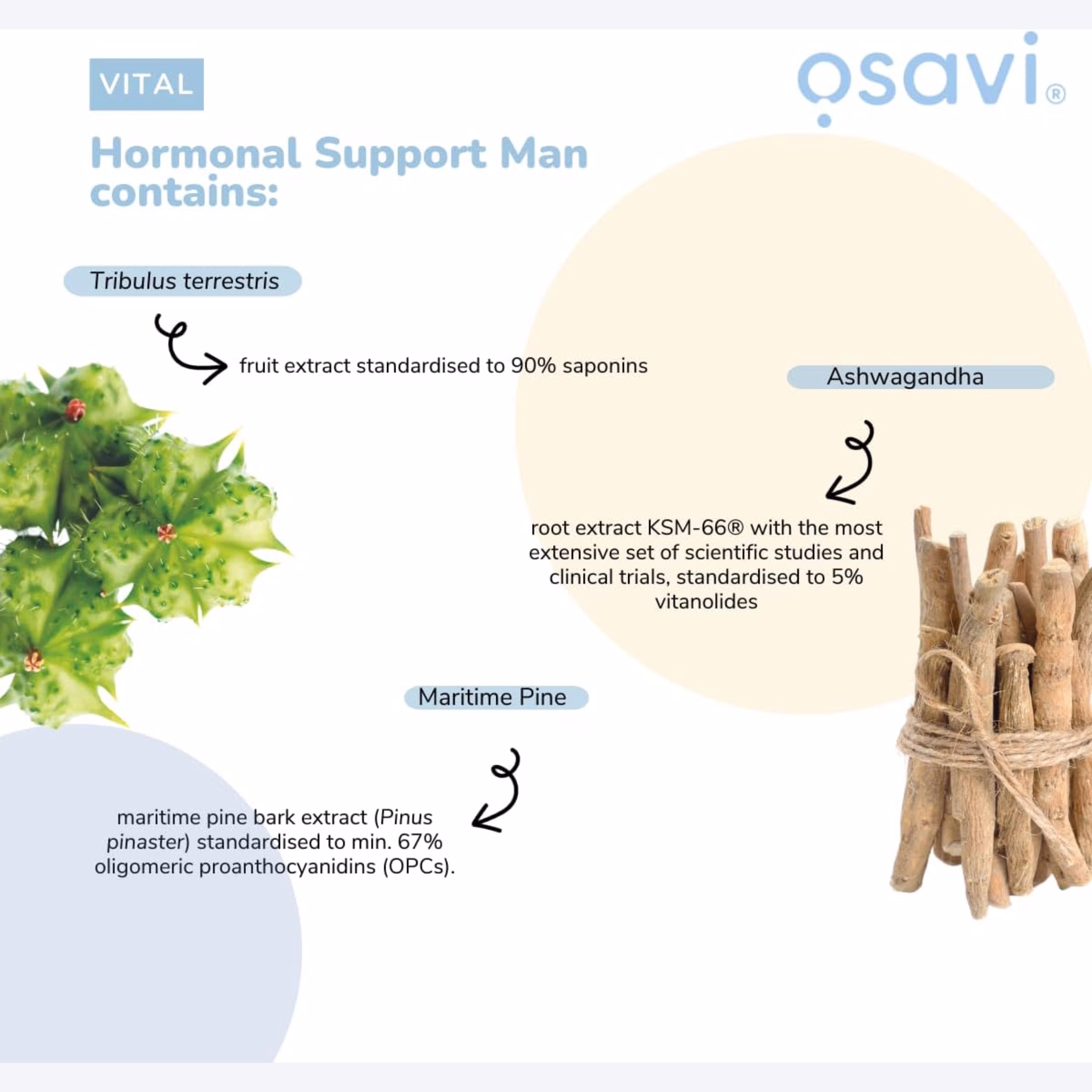 osavi hormonal support men hormonska podrska testosteron