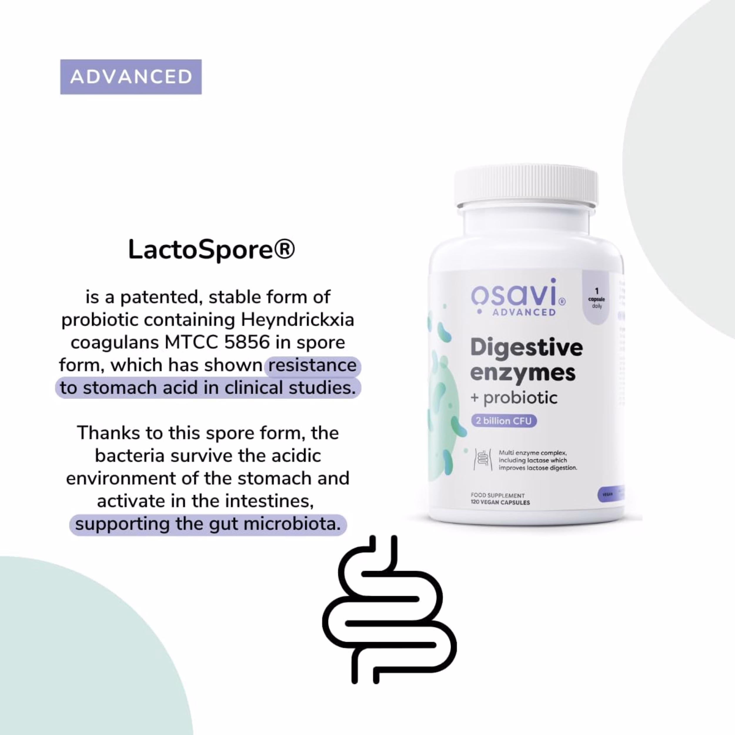 osavi digestive enzymes + probiotic 60 kapsula digestivni enzimi probiotik za zdravlje stomaka lactospore